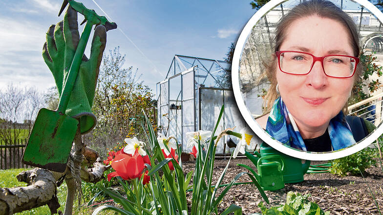 Sachsens Gartenexpertin Helma Bartholomay ist auch in den Gärten in und um Großenhain eine gern gesehene Ratgeberin. Am 27. April ist sie in der Priestewitzer Baumschule Winkler zu Gast.