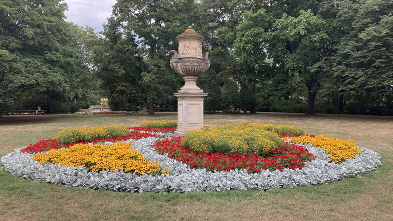 Wie hier im Blüherpark in Dresden werden um die 35 verschiedenen Pflanzenarten im ganzen Stadtgebiet unter die Erde gebracht, damit es im Sommer schön blüht.