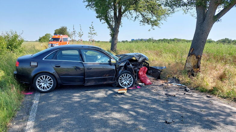 Tödlicher Unfall: Autofahrerin prallt in Leipzig gegen Baum