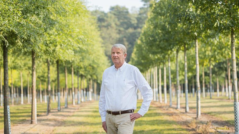 Jan-Diedrich Bruns – hier auf einem Feld zwischen Amberbäumen und Klimaeichen – sieht eine gute Zukunft für die Baumschulen.