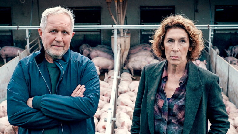 Die Wiener Ermittler Moritz Eisner (Harald Krassnitzer) und Bibi Fellner (Adele Neuhauser) müssen raus aufs Land, weil der Besitzer eines Schweinemastbetriebes ermordet worden ist.