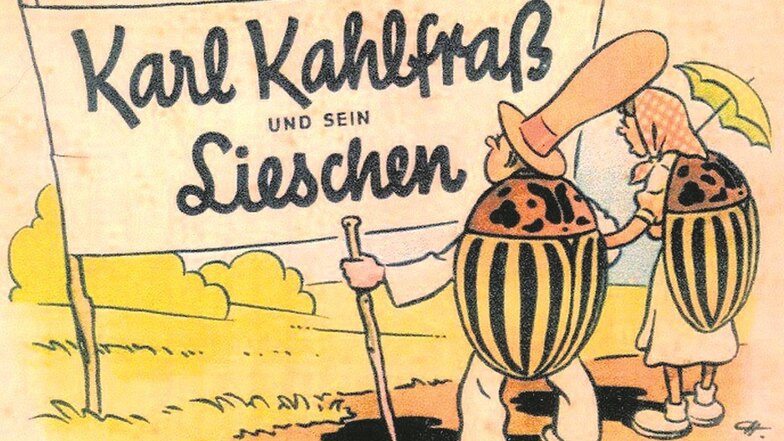 „Karl Kahlfraß und sein Lieschen“, hieß ein Bilderbuch „für große und kleine Kinder“, das das DDR-Landwirtschaftsministerium in den 1950er-Jahren herausgab und darin die Legende von amerikanischen Käferbombern pflegte.