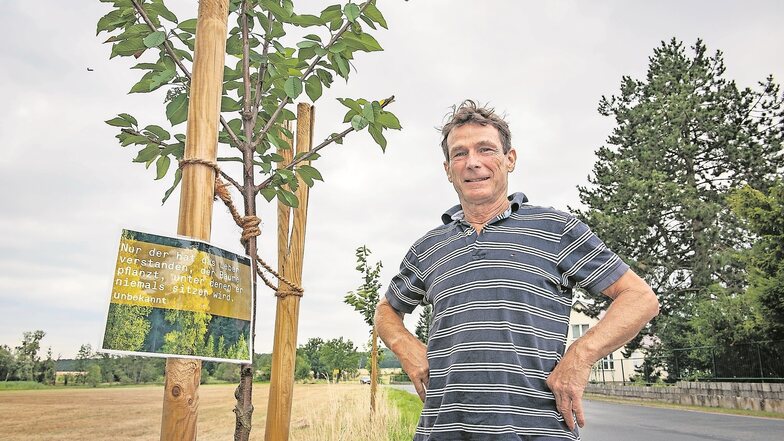 Gerald Förster wurden im Sommer frisch gepflanzte Bäume gestohlen. Der Fall ist nun vor Gericht.