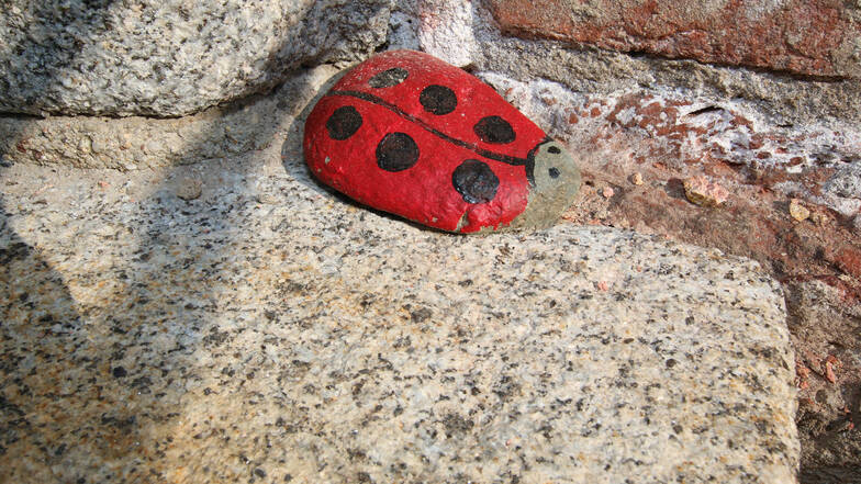 Bemalte Steine, hier am Eingang des Rathauses, haben Kreative im Stadtgebiet von Roßwein versteckt. Auch sie sind für manchen, der sie entdeckt, ein Hoffnungsschimmer.