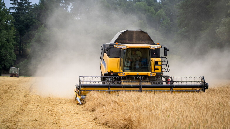 Sachsens Bauern holen mehr Getreide vom Feld