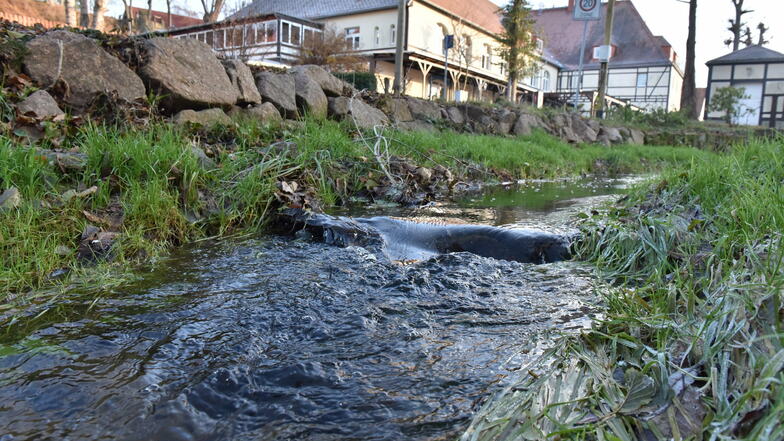 So fließt der Höckenbach ruhig durch den Ort. Er kann aber auch gefährlich werden. Dagegen braucht es Vorsorge.