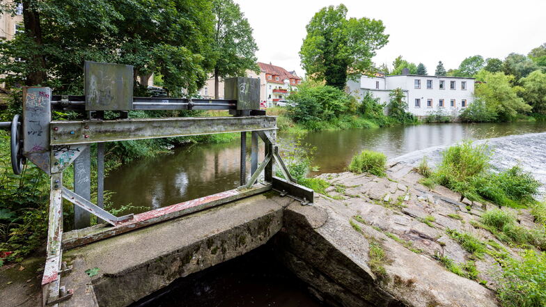 Dieses Wehr in der Spree in Bautzen wird abgerissen. Durch eine Umgestaltung des Flusses soll erreicht werden, dass Fische und andere Wasserlebewesen den Bereich passieren können.