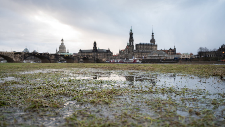 Ein Pfütze auf den Elbwiesen vor der historischen Altstadtkulisse Dresdens: Plusgrade und Regen lassen Bäche und Flüsse in Sachsen noch bis zum Wochenende weiter anschwellen.