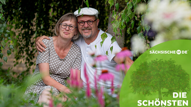 Manuela und Thomas Schöne haben sich auf 1.500 Quadratmetern ein herrliches grünes Refugium mitten in der Kamenzer Altstadt geschaffen. Es erinnert an einen englischen Cottage-Garten.