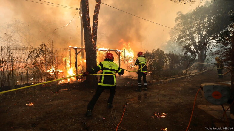 Feuerwehrleute löschen einen Waldbrand bei Saint-Andre in Südfrankreich. Von Campingplätzen wurden  3.000 Touristen in Sicherheit gebracht.