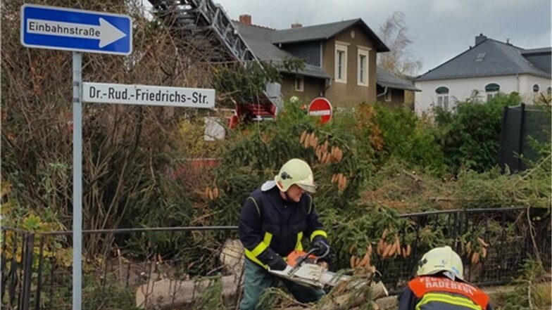 Eine zwölf Meter hohe Tanne am Hotel Stadt Radebeul mussten die Feuerwehrleute gegen 10 Uhr zerlegen. Der Baum hatte sich quer über die Straße gelegt und war glücklicherweise von einer Mauer abgefangen worden.SZ/Redlich