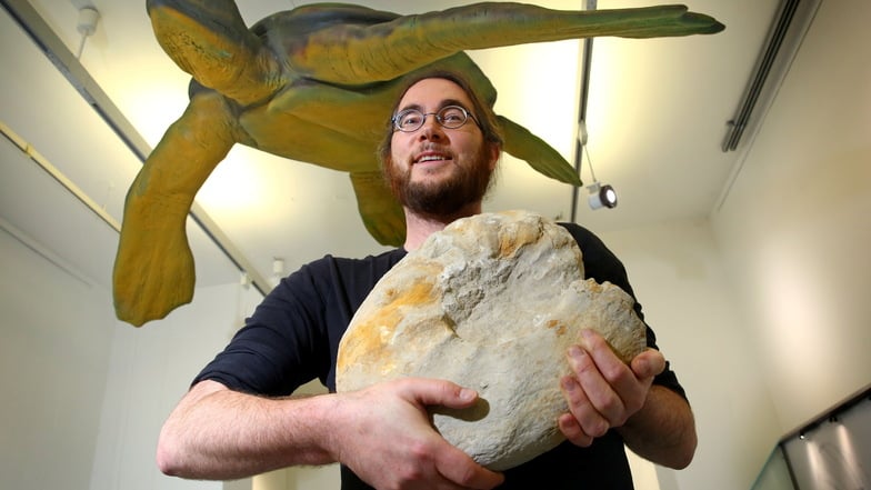 Ausstellungskurator Jens Czoßek nimmt in der neuen Sonderausstellung „Seestern, Sandstein, Saurier“ die Besucher des Museums der Westlausitz in Kamenz in eine Zeit vor über 90 Millionen Jahren mit.