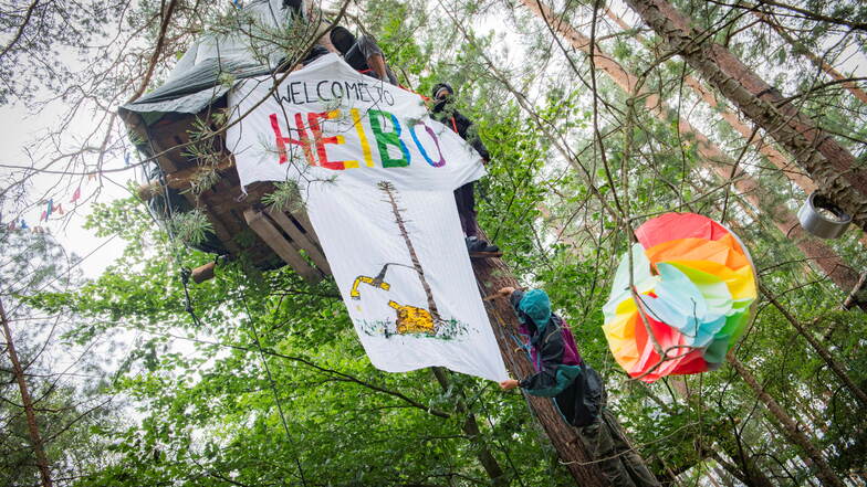 In einem Waldstück bei Würschnitz haben Umweltschützer mehrere Baumhäuser errichtet. Mit der Aktion wollen sie auf drohende Rodungen und den fortschreitenden Kiesabbau hinweisen.