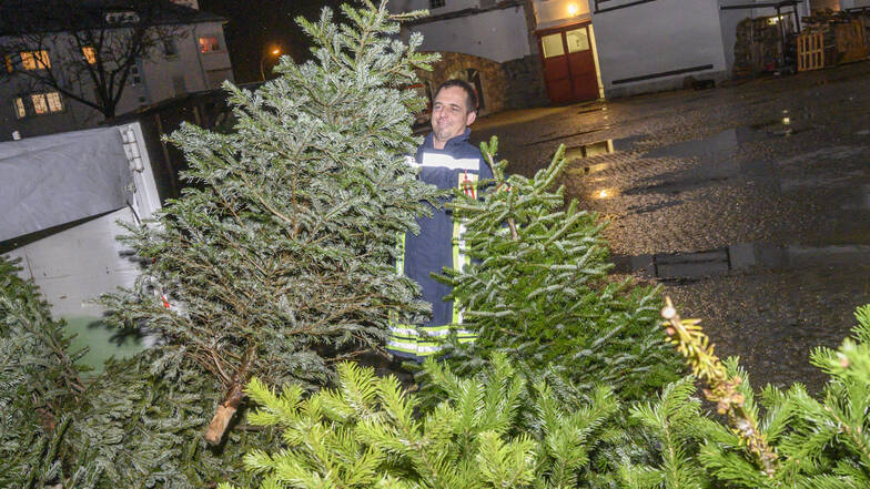 Stachlige Angelegenheit: Raphael Jantos von der Feuerwehr Riesa-Stadt nimmt an der Pausitzer Straße ausgediente Weihnachtsbäume entgegen. Am 18. Januar werden sie verbrannt.
