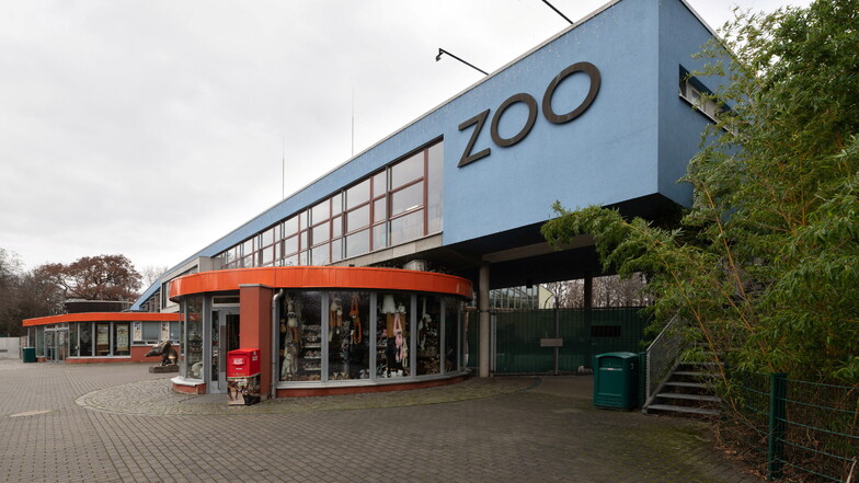 Hohe Energiekosten: Dresdner Zoo schließt sein Terrarium