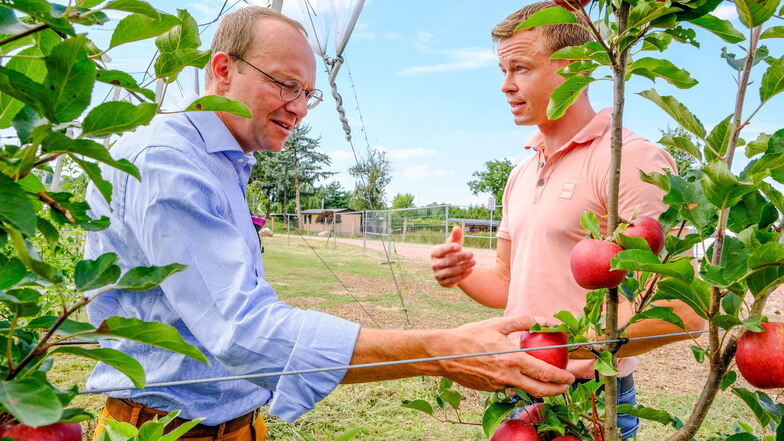 Landwirtschaftsminister Wolfram Günther im Gespräch mit Michael Görnitz vom Obstbau Görnitz im Coswiger Ortsteil Sörnewitz.