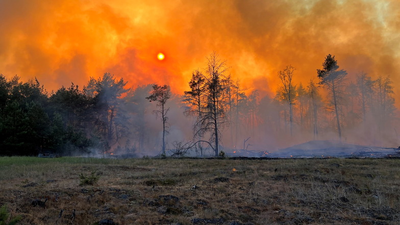 Warum Waldbrände in Sachsen doppelt gefährlich sind