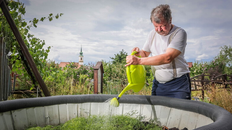 Kleingärtner Udo Wargowske kümmert sich im "Garten der Sinne" in Dresden um das Überleben der Wildbienen.