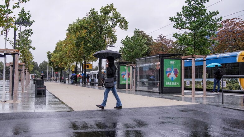 Am Promenadenring in Richtung Pirnaischer Platz stehen bereits die neuen Wartehäuschen. Im Rest von Dresden geht es erheblich langsamer voran.