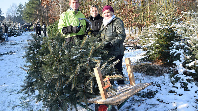 Jan, Moni und Ingrid Kohnert haben ihren Wunsch-Weihnachtsbaum bereits gefällt. Nun hat er schon seinen Erst-Schmuck bekommen: Herrnhuter Sterne.