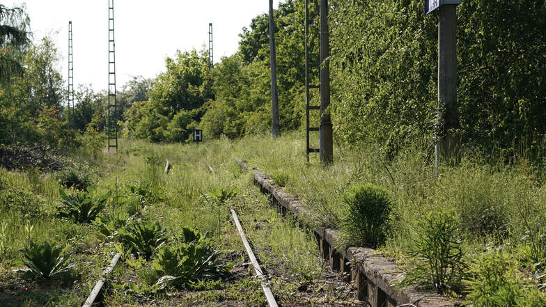 Stillgelegte Bahnstrecken sollen reaktiviert werden.