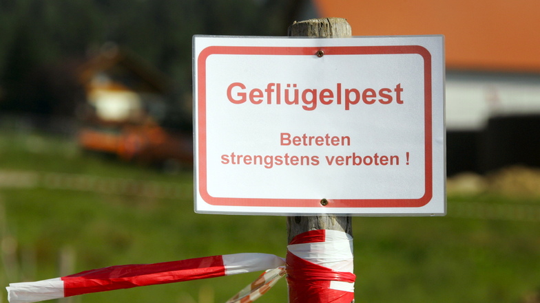 Ein Schild mit der Aufschrift «Geflügelpest - Betreten strengstens verboten!» steht an der Zufahrt zu einem Geflügelzuchthof.