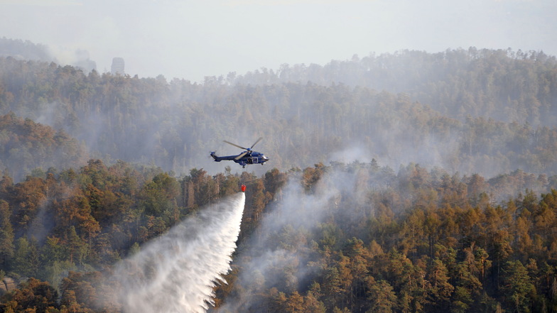 Landrat: Waldbrandhilfen ein bürokratischer Klops