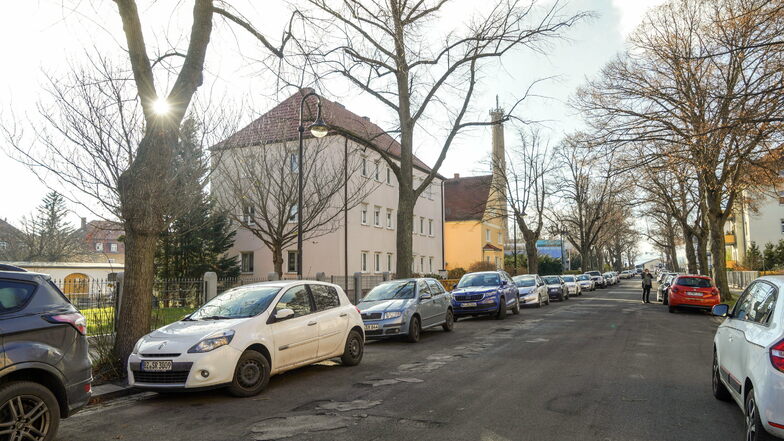 In der Paulistraße in Bautzen rücken kommendes Jahr Bauarbeiter an. Den alten Linden passiert dabei nichts - vorerst.
