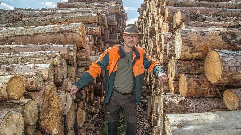 Bloß schnell weg mit dem Holz aus dem Wald: Michael Krujatz (links) als Geschäftsführer der Forstbetriebsgemeinschaft Steinölsa stapelte die Stämme mindestens 500 Meter entfernt vom Waldrand, damit der Borkenkäfer nicht nachkam.