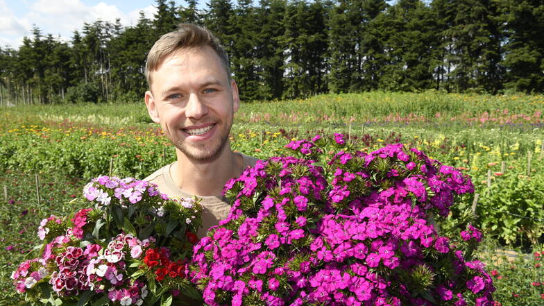 Teil-Chef Max Reinbold vor einem der Blumenfelder in Freital-Somsdorf.