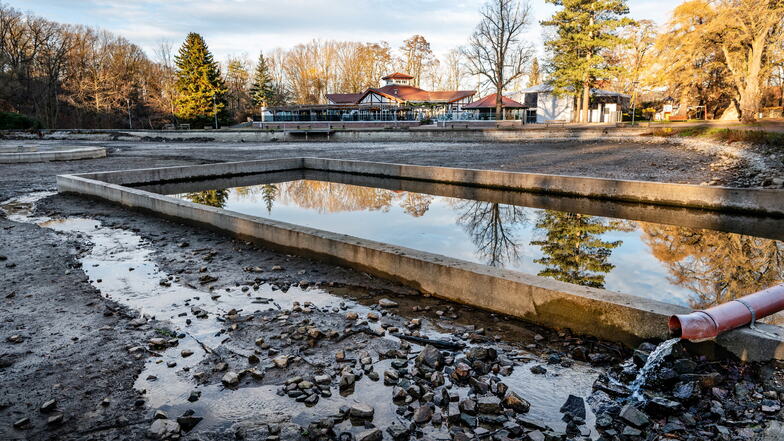 Mitte Januar soll die Firma LFT mit der Neugestaltung des Bürgergartens beginnen. Los geht es mit der Erneuerung der Ufermauern des oberen Teichs. Das Wasser ist schon abgelassen.