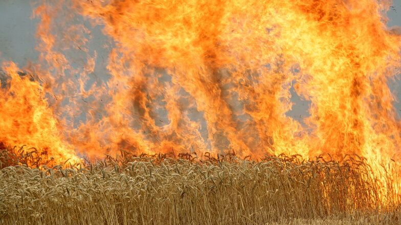 Räckelwitz: Traktor-Brand greift auf Feld über