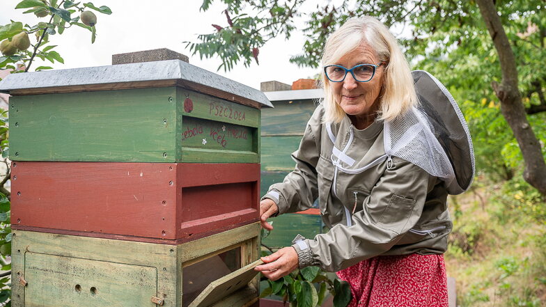 Die Zahnärztin Silke Naumann kümmert sich seit zehn Jahren um mehrere Bienenvölker an ihrem Haus in der Görlitzer Nikolaivorstadt.