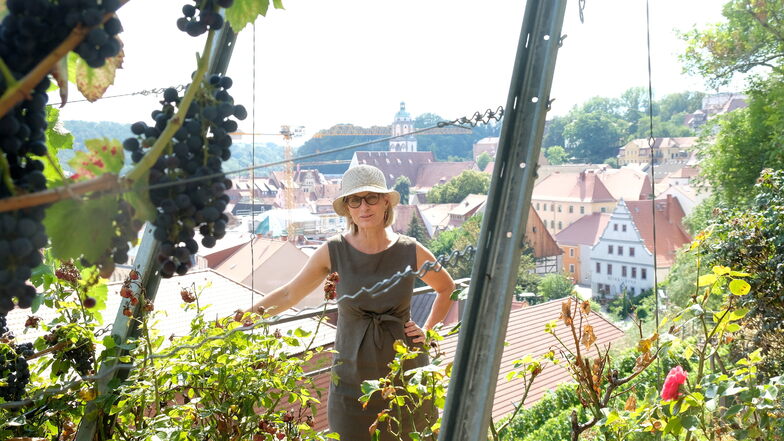 Andrea Gößl ist Sprecherin der Landesstiftung Natur und Umwelt, die in Meißen einen ökologischen Weinberg zu Füßen der Albrechtsburg bewirtschaftet.