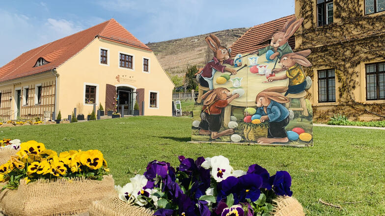 Am 23. und 24. März können Sie auf dem Weingut Hoflößnitz den Frühling und die kommende Osterzeit feiern.