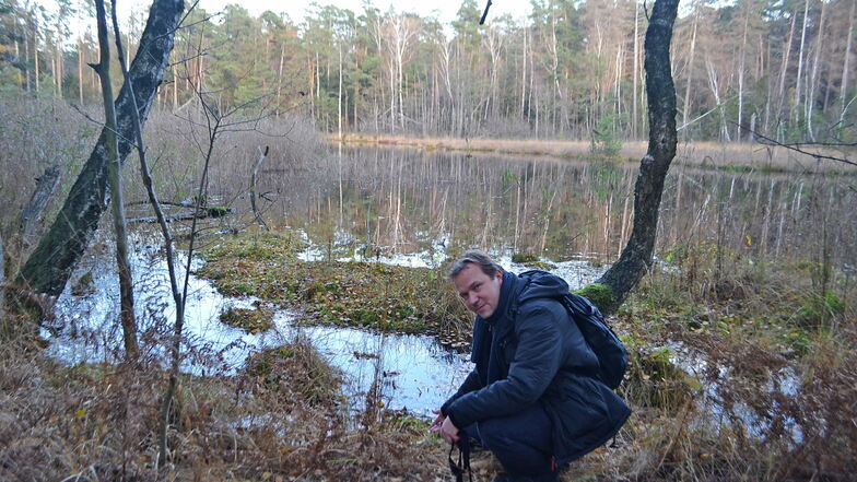 Bald nur noch eine Brennnesselwüste? Holger Oertel an einer offenen Wasserfläche im Waldmoor bei Großdittmannsdorf.