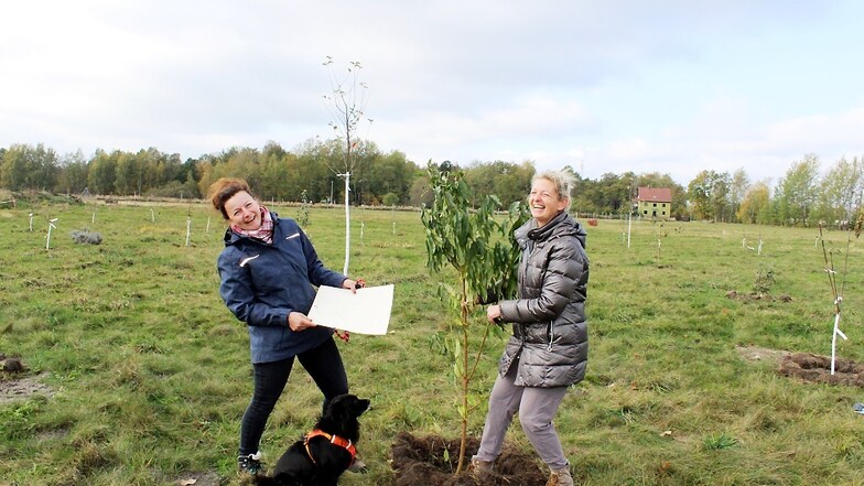 „Eine-Stadt-pflanzt“-Ideengeberin Dagmar Steuer (rechts) und Gartenbauingenieurin Ulrike Kühne retten auch Bäume, die entsorgt werden sollten. Doch auf der Pflanzwiese bekommt das Pfirsichbäumchen eine Chance zum Wachsen.