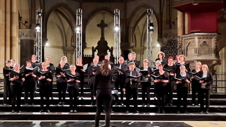 Die Singgemeinschaft Großenhain beim Nachtklang-Konzert in der Leipziger Peterskirche.
