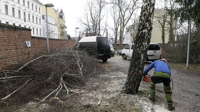 Erste Arbeiten auf dem Gelände an der Jakob-Böhme-Straße fanden schon statt. Um Platz zu schaffen, mussten Ende Februar einige Bäume weichen.