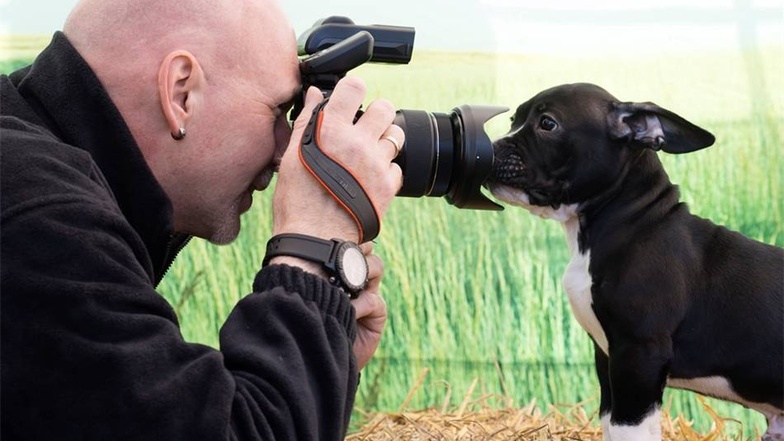 Schau! Statt vor Hundefotograf Stefan Heines Modell zu sitzen, untersucht Bulldogge Joker lieber das Objektiv.