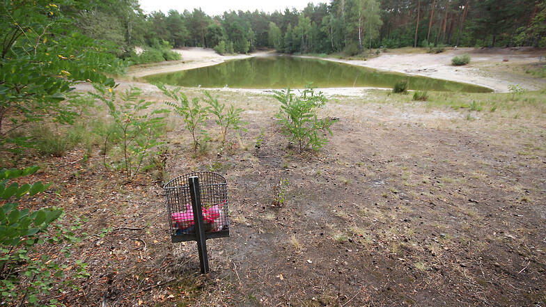 Der Tornoer Teich in der vergangenen Woche: Der Wasserstand ist dramatisch gesunken. Der Abfallbehälter ist der gleiche wie der auf dem Bild rechts.