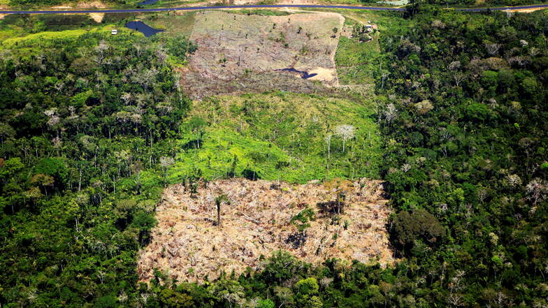 Abgeholztes Gebiet im Amazonas-Regenwald in Acre, Brasilien.