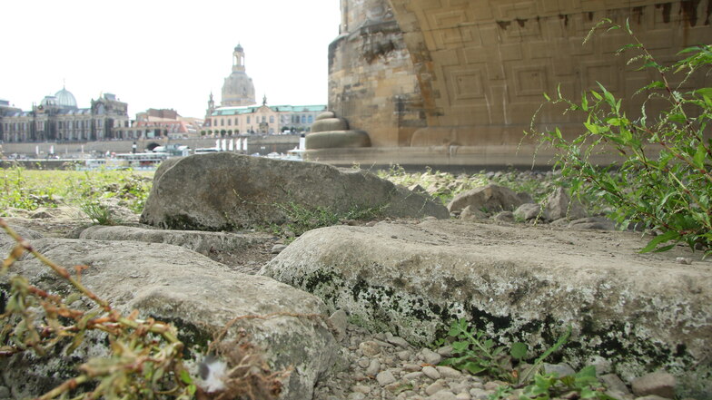 Bei Niedrigwasser können uralte Zeugen der Dresdner Baugeschichte auf der Neustädter Seite der Augustusbrücke besichtigt werden.