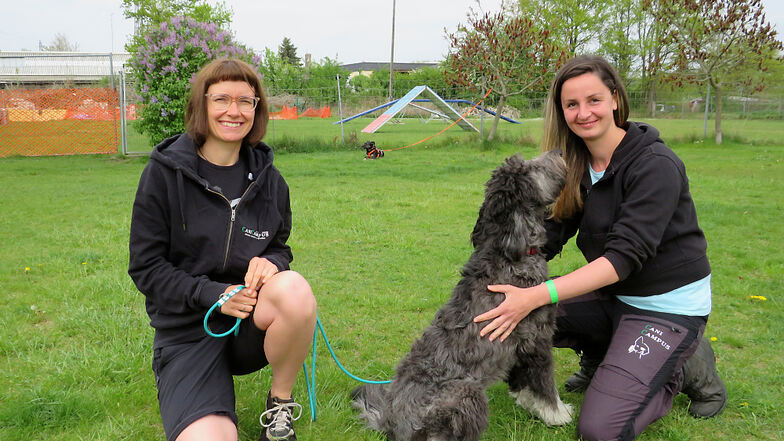 Monika Schulze (r.), Inhaberin der Hundeschule CaniCampus, ist der Aufbau einer harmonischen Beziehung zwischen Mensch und Hund sehr wichtig. Unterstützung bekommt die 32-Jährige von Madlen Fischer, die auch Mitglied beim Hoyerswerdaer HSV „Pfote drauf“ i