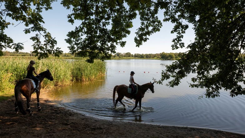 Reiterinnen aus Moritzburg gönnten Ihren Pferden am Dippelsdorfer Teich in Friedewald bei hochsommerlichen Temperaturen am Dienstag eine kleine Erfrischung.