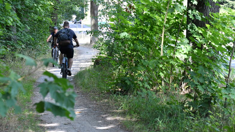 Besonders dann, wenn sich zwei Radfahrer begegnen ist der Ullersdorfer Radweg an einigen Stellen viel zu eng.
