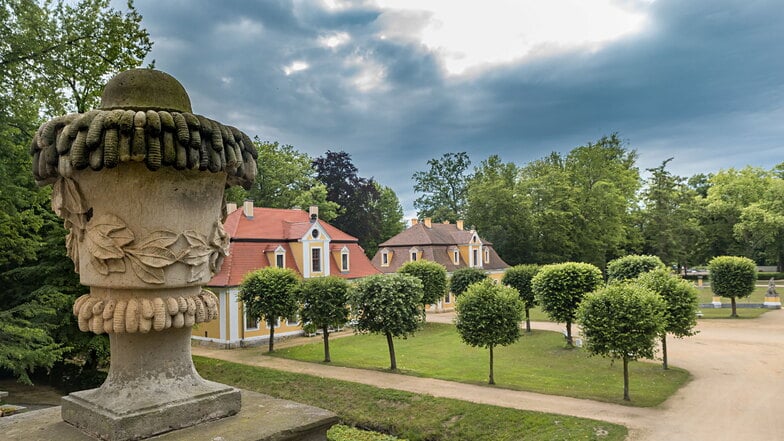 •Ein Blick in den Schlosspark Neschwitz von der Terrasse des Schlosses aus.