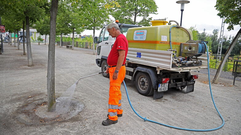 AGV-Mitarbeiter Steffen Meißner beim Gießen der Bäume am Riesaer Elbufer. Mit 100 Liter pro Baum und Bewässerungseinsatz rechnet das städtische Unternehmen.