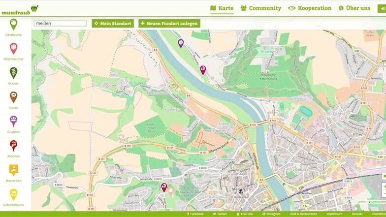 Die interaktive Landkarte auf Mundraub.org zeigt, wo man Obst, Kräuter und Nüsse ernten kann – auch im Landkreis Meißen.