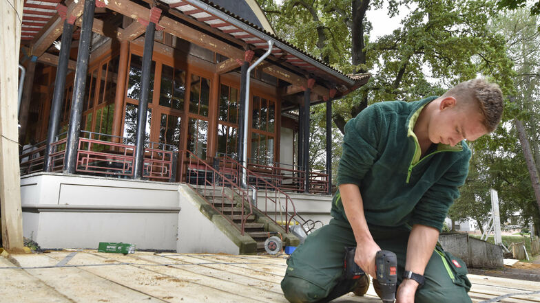 Julian Scharf befestigt die Bretter für den Wurzelschutz, mit dem die alten Bäume am Chinesischen Pavillon geschützt werden.